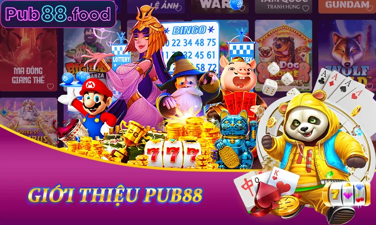 Giới thiệu PUB88