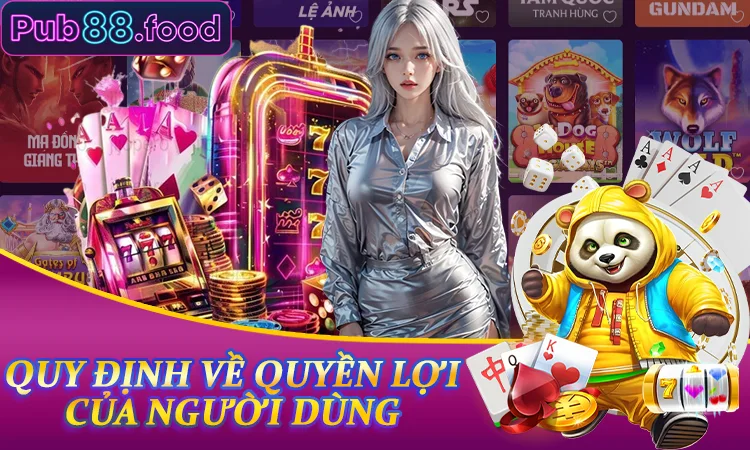 Quy định về quyền lợi của người dùng liên quan đến dữ liệu tại PUB88