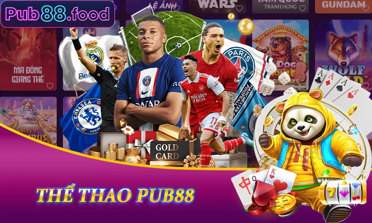 Thể thao PUB88