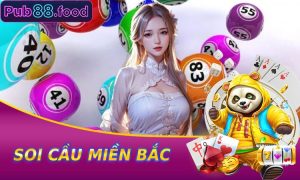 Soi Cầu Miền Bắc